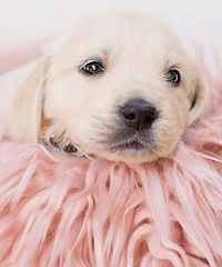 ����ѧ�������޶���û�ط�������