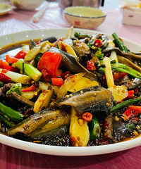 ̽�꿪��40�������㻨�����ݽ�ţ��˿�����·�