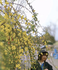 90�����й�˾��С������飬ϣ���Է�Т˳����