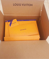 �����¿�LVeasypouch��ɫ������Ů��С���£�