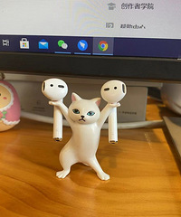 ԭ�����è��������;�������