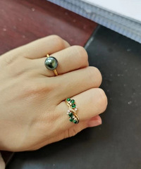 ɹɹ�����������С��ָ