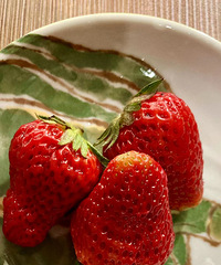 我的独居生活:五彩工作餐是我搬砖的满满原动力