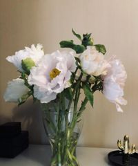 晒晒我最近在网上买的花儿,牡丹&芍药