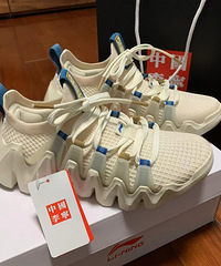 穿着安踏又去入了中国李宁,国货真崛起了