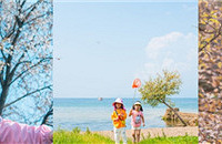 ˵һ˵ȥ޺õطЩֳƬ