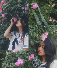 就在南坪的蔷薇花墙,不要门票快来打卡【2021第2届写真秀】