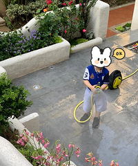 СƤп˴ʹҼװٶȼӿ죬300ƽ˳깤