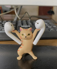 ��Ҫǿ�Ұ����������Կɾٵ����è