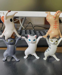 ��Ҫǿ�Ұ����������Կɾٵ����è