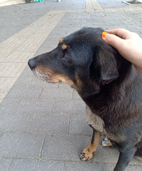 92年160CM的摩羯座妹子征婚,希望对方身高170以上