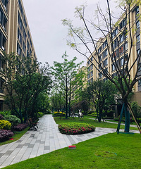 ڶ׷װޣ¼еļҡ2021װռǡ