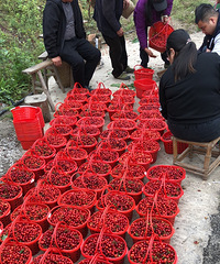 ͣҪǮժӣҵأ10/ﲻҪ԰ѣ㰮