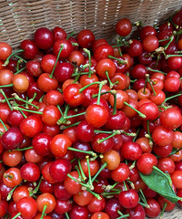 żȻѰժӣҵĺõطû˲³ǹؼɿ