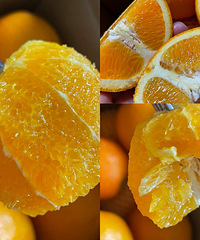 ���˸����ó����������ӣ����и�С�������������