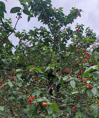 һٷ羰õժӣҺõطƤӣҳҪ̫ˬ