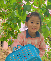 ȫ̲³ժӣ·ߣĴƬԳĻ