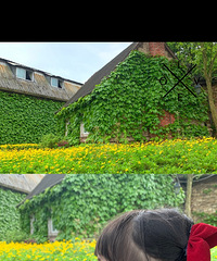 ½򿨵أŷũׯĸоBBQ