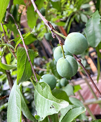 20귿ıضַ108ƽ70ƽ԰