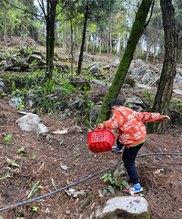 ĢҲ̫˰ɣҪ̫ʣ޶ˣó