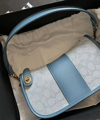 Coach������Ǯ�ˣ�����ϻ���ÿ����ɫ���úÿ���