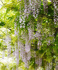 ȻôһƬٻ̫λ˰ɣ˲Ͻȥ