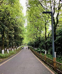 你知道自己为什么被剩下了吗?想找个漂亮的,漂亮的嫌我丑