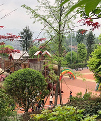 Ϊ¶Ӫ賿12㵽ɽͯ԰ռλ