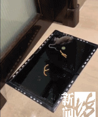 �Ϻ��������ں��������˾���Ȼ�ܳ�һֻ������