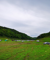 ժӣңɣҶտ̤ѡطͶˣ