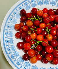 ��˵˵���ǽ���ӣ�Ҷ���ɻ���ժ�ɺö�Ǯ����