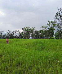 лϸɳ޶ˣ𲻻ؼң¿԰治