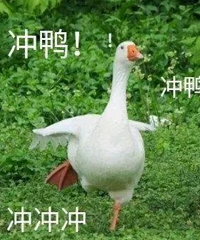 福利来了~射频低至188元,M22都才368元!比护肤品还便