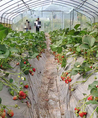 ȥժݮͽݳޣû뵽ըĿ