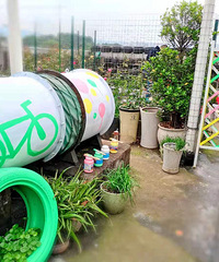 DIY涂料,蔷薇花墙做隔断,60平的屋顶花园美得不像话
