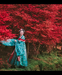 ͺĵطҲ̫˰ɣôĶÿϽȥ