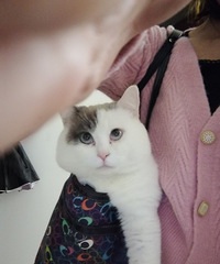 95年160CM从事教育培训的妹子征婚,希望对方大专及以上