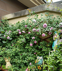 ��Ժ�ӻ���3��¶̨����ɫ���껨ǽ���ˣ����������