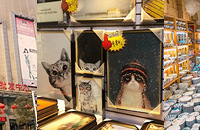 ̽СƷгʽ;ߡװһȫ