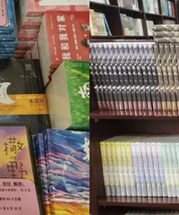 ȥ꣬ഺѧﵢС˵ռ˰ڽɽ