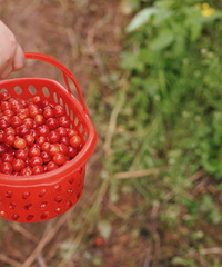 ժӣѵأ԰10Ԫԣ10Ԫһ