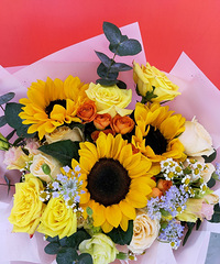 Ϊʲô֣Ů˺˷ֵԭһ