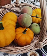 Լ԰ΣʮֹϹ߲˳ԶԲӮ