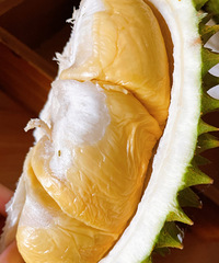 �ݳ�һ����������������������ˬ�ˣ�ζ��̫��ͷ��