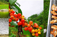 ޱصأժӣҡɣҶBBQдƺ