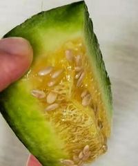 ��һ�γ������Ĺ�