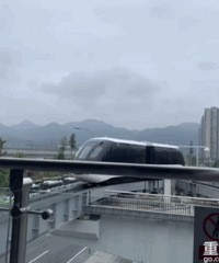 五一节去璧山公园耍的,可以坐盘猪儿虫