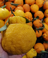 8��Ǯһ�������ʲ�֪������ʲô�ӽ���Ʒ�֣�