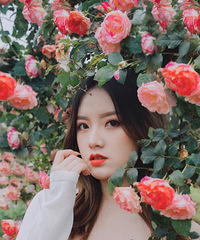 ȥõ԰ȴֻ·գ˽صľյ㣬֤Ƭ