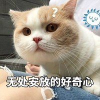 你身边那些不吃晚饭减肥的人,现在都瘦了吗?